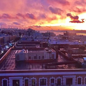 Meet your Posher, Iris