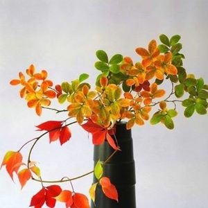 Meet your Posher, Van