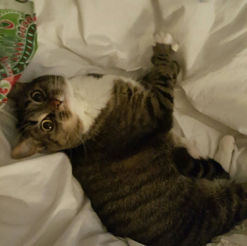 Meet your Posher, Kristi