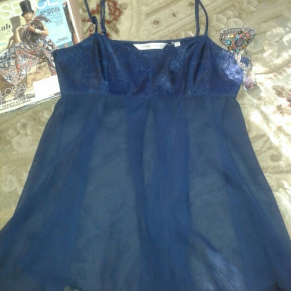 Blue night gown/sheer bottom.