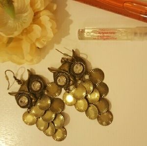 Beautiful Owl Earrings