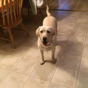 Meet your Posher, Jenna