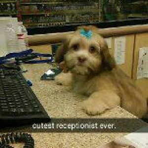 Meet your Posher, Lois