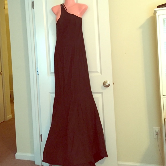 NWOT Gorgeous long Lady by Lucy Dang formal gown