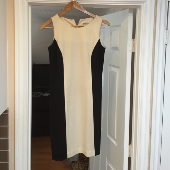 Rag & Bone sheath 4