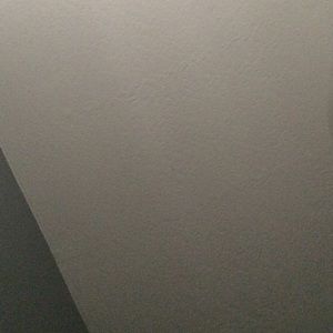 Meet your Posher, Tanner