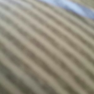 Meet your Posher, Barbara