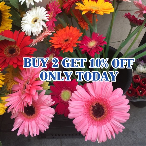 🎉🎉BUY 2 GET 10% OFF 🎉🎉