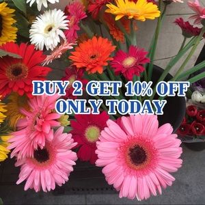 🎉🎉BUY 2 GET 10% OFF 🎉🎉