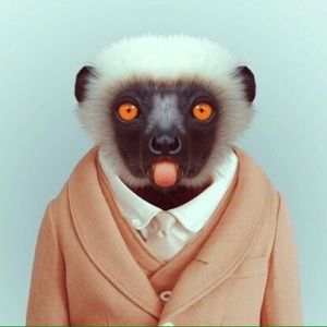 Meet your Posher, Madison