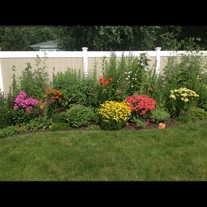 Meet your Posher, Julia