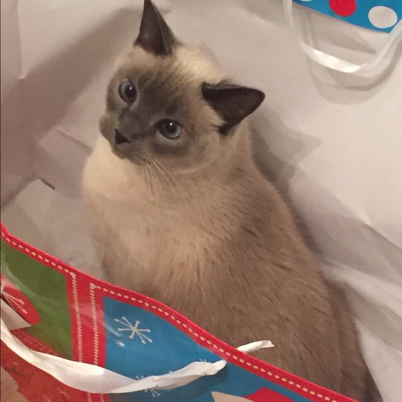 Meet your Posher, Erin - Picture 2 of 2