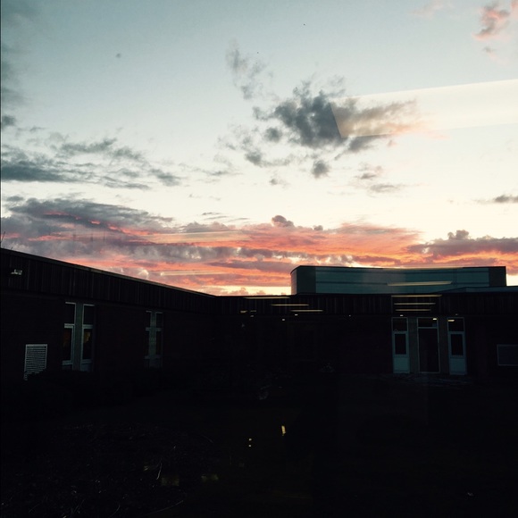 Meet your Posher, Lily - Picture 1 of 1