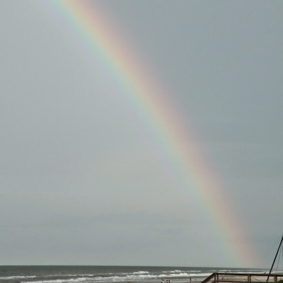 Meet your Posher, Betty - Picture 2 of 2