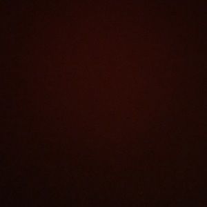 Meet your Posher, Brendan