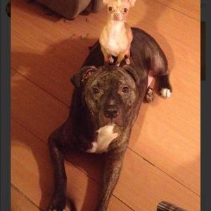 Meet your Posher, Marsha