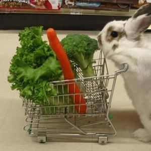 Meet your Posher, Crystal