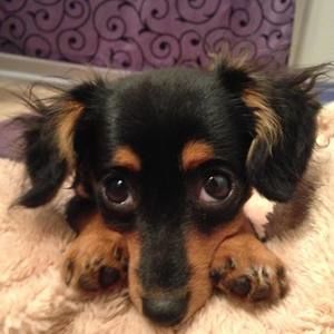 Meet your Posher, Carla