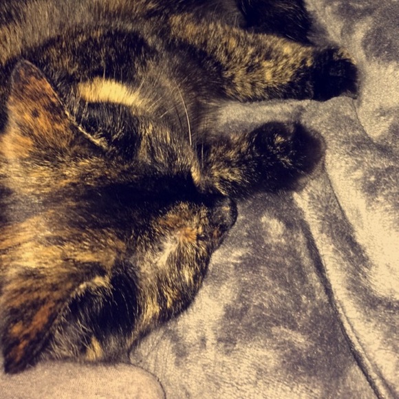 Meet your Posher, Sophia