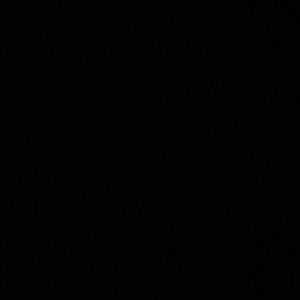 Meet your Posher, Frida