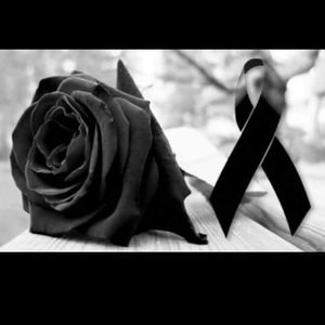 Meet your Posher, Marisol