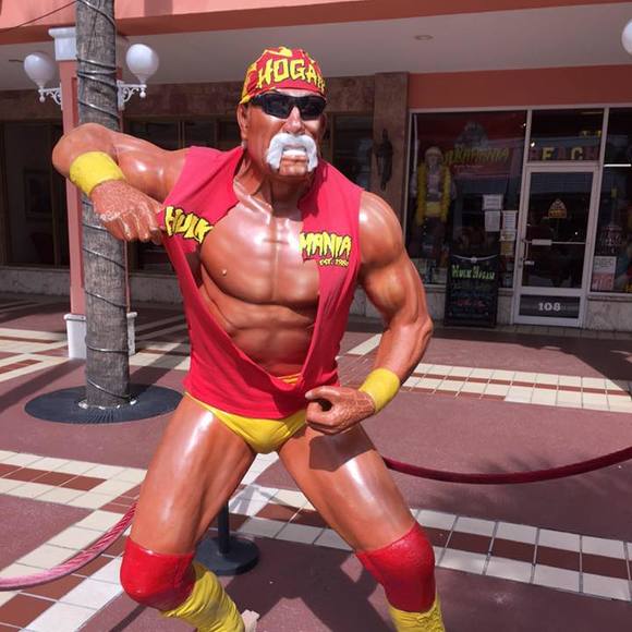 Meet your Posher, Bruce