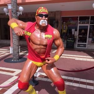 Meet your Posher, Bruce