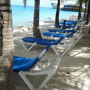 Meet your Posher, Jeannie