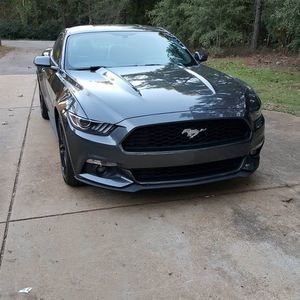 Meet your Posher, Gina