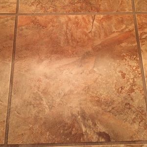 Meet your Posher, Ann