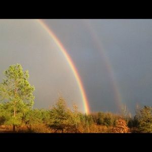 Meet your Posher, Nicolette