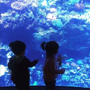 Meet your Posher, Nadine