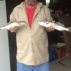 Meet your Posher, Tommy