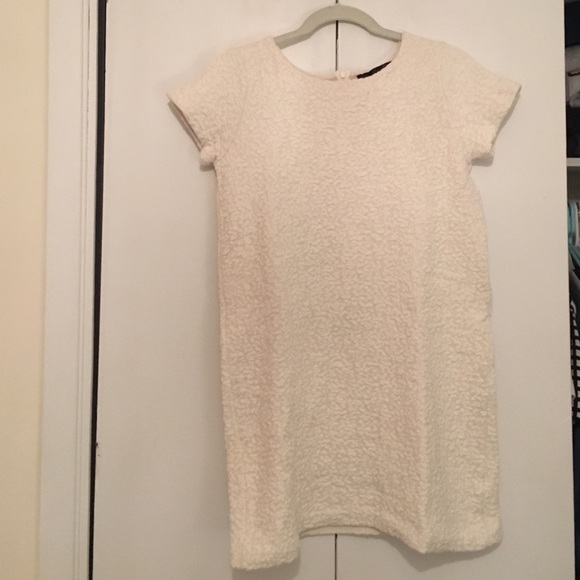 NEVER WORN Zara Dress