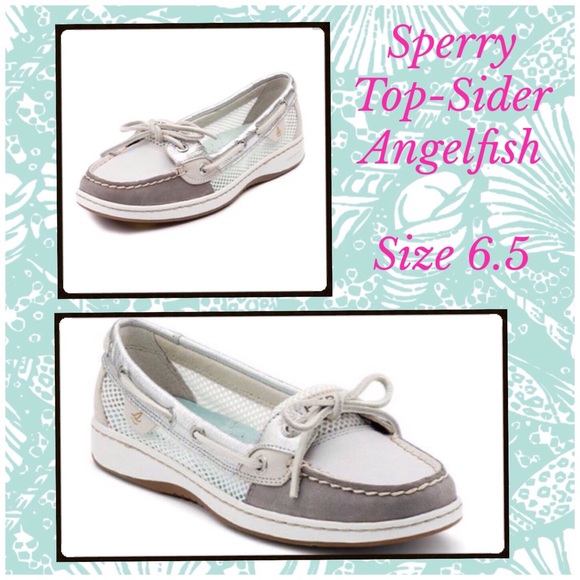 Sperry Angelfish
