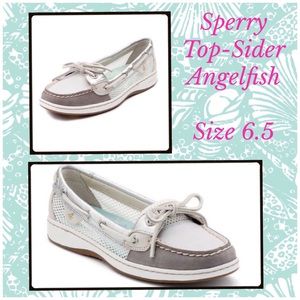 Sperry Angelfish