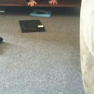 Meet your Posher, Iris