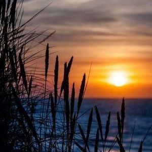 Meet your Posher, Mirella