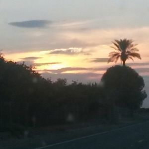 Meet your Posher, Paula