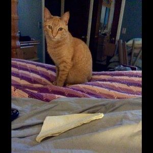 Meet your Posher, James