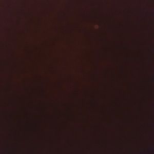 Meet your Posher, Faviola