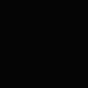 Meet your Posher, Irene