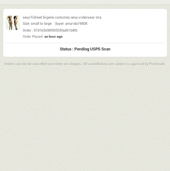 sexy Fishnet lingerie costumes sexy underwear stra - Picture 3 of 3