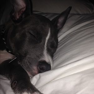 Meet your Posher, Yashikiya