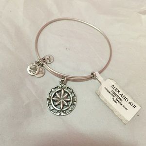 Alex & Ani Compass Bracelet!