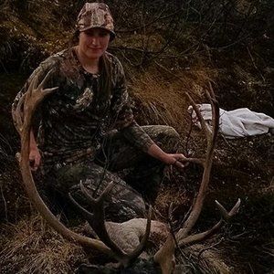 Meet your Posher, Angel