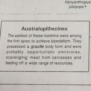 Meet your Posher, Alina