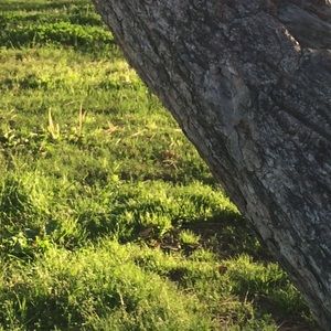 Meet your Posher, Alina