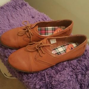 Rocket Dog Larissa shies