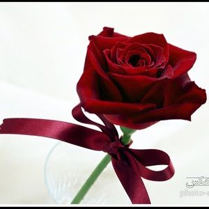 Meet your Posher, Farina